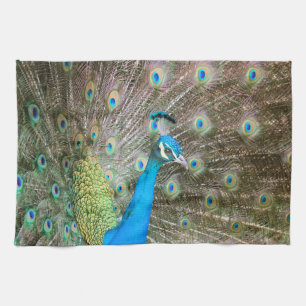Linge De Cuisine Peacock avec plumes fanées - Photo d'oiseaux sauva