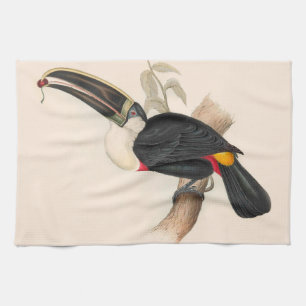 Linge De Cuisine Peinture animalière d'antiquités Toucans