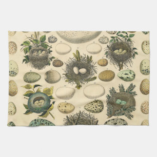 Linge De Cuisine Peinture artistique de nid d'oeuf d'oiseau vintage