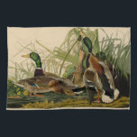Linge De Cuisine Peinture d'oiseaux de Mallard Duck Audubon<br><div class="desc">Canard colvert Audubon - Le canard colvert est un oiseau de jeu que vous pouvez voir voler à travers les marais. John James Audubon a créé cette magnifique illustration vintage de canard de Mallard, une gravure aquatine avec coloration originale, et l'a publiée dans les célèbres livres originaux Birds of America...</div>