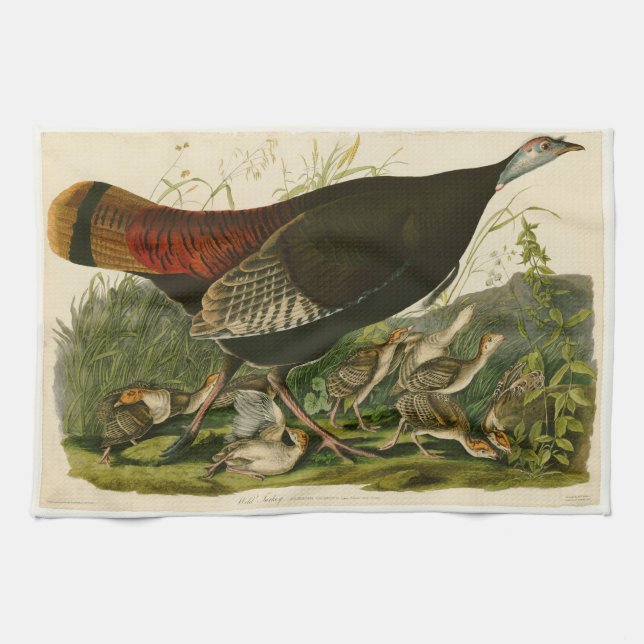 Linge De Cuisine Peinture d'oiseaux sauvages de Turquie Audubon (Horizontal)