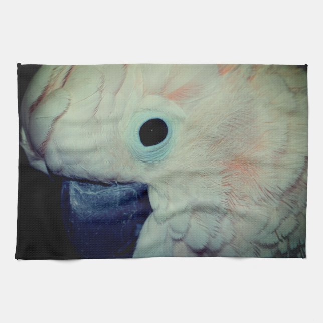 Linge De Cuisine Perroquet de Cockato Molucca rose Gros plan (Horizontal)