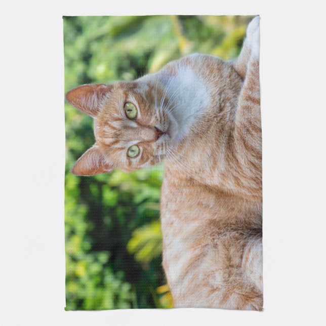 Linge De Cuisine Petit chou doux (Vertical)