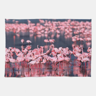 Linge De Cuisine Petits Flamants roses (Phoeniconaias mineur), Afri