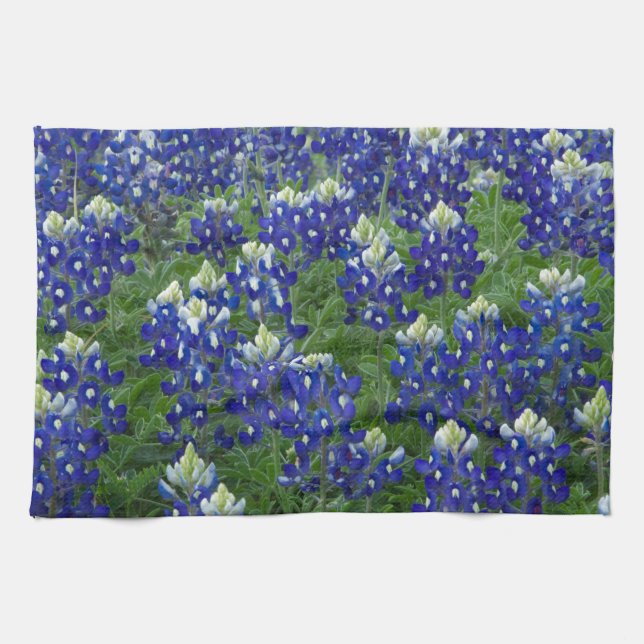 Linge De Cuisine Photo de champ de Bluebonnets de Texas (Horizontal)