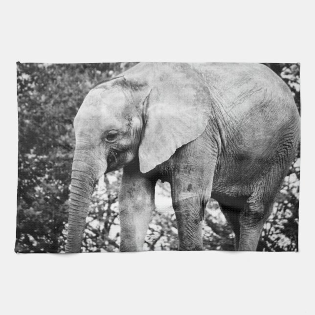 Linge De Cuisine Photo de contraste noir et blanc d'Elephant (Horizontal)