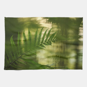 Linge De Cuisine Photo de Fern Nature