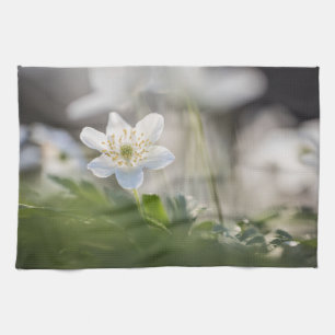 Linge De Cuisine Photo de la nature de la fleur