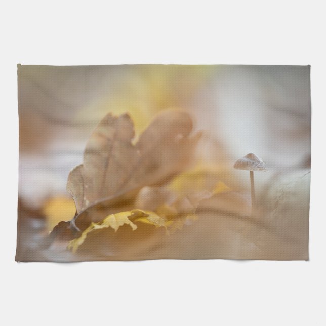 Linge De Cuisine Photo de la nature des champignons (Horizontal)