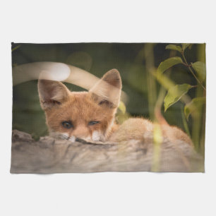 Linge De Cuisine Photo d'une mignonne petite Fox