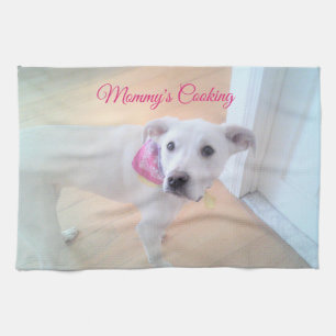 Linge De Cuisine Photo mignonne blanc chiot visage chien mignon mam