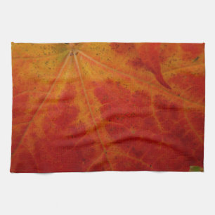 Linge De Cuisine Photographie abstraite de la feuille d'érable roug