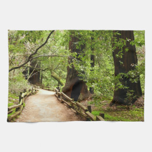 Linge De Cuisine Photographie de la nature du chemin de Muir Woods 