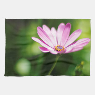 Linge De Cuisine Photographie de Marguerite Africaine Violette