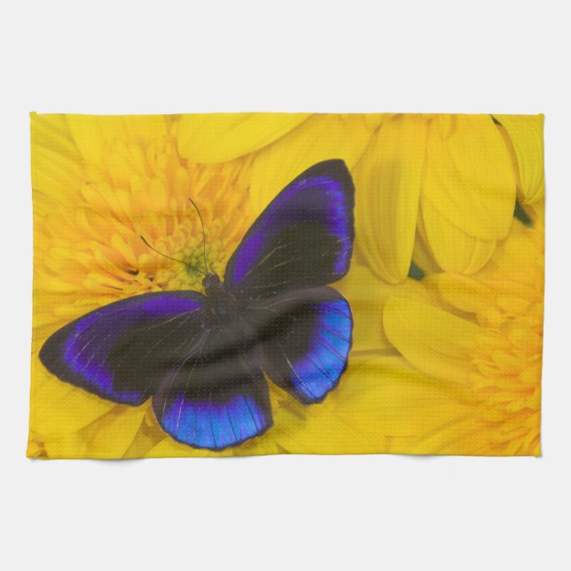 Linge De Cuisine Photographie de papillon (Horizontal)