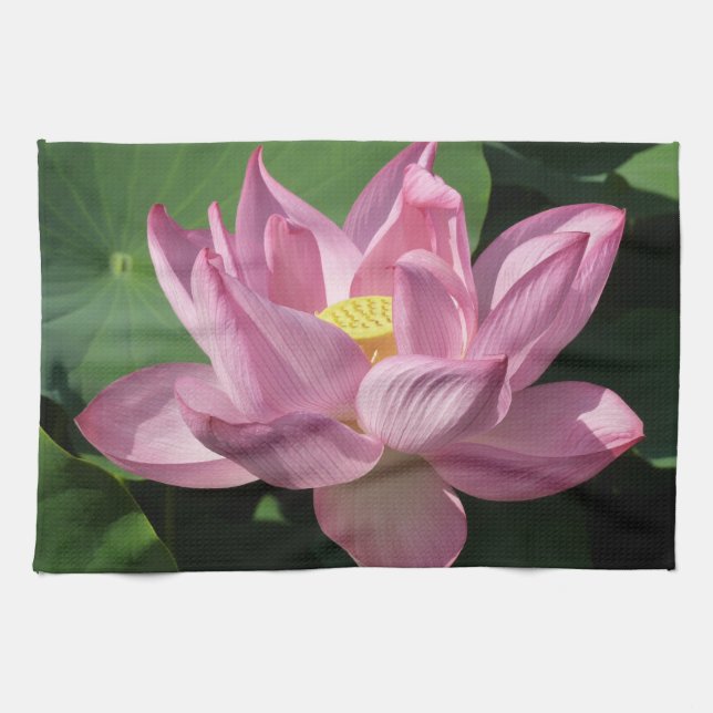 Linge De Cuisine Pink Lotus Flower IV (Horizontal)