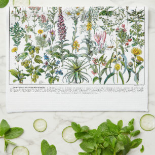 Linge De Cuisine Plantes médicinaux et fleurs par Adolphe Millot