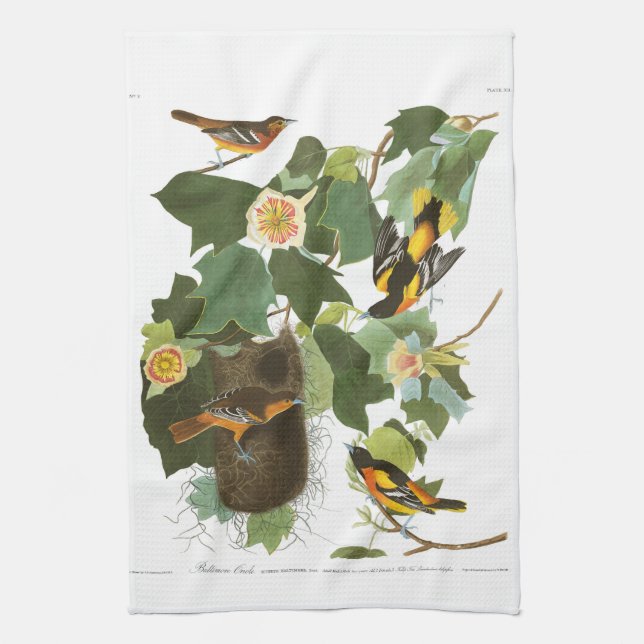 Linge De Cuisine Plat 12 Baltimore Oriole d'Audubon (Vertical)