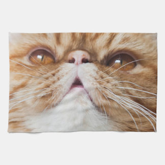 Linge De Cuisine Plats secs du DA !