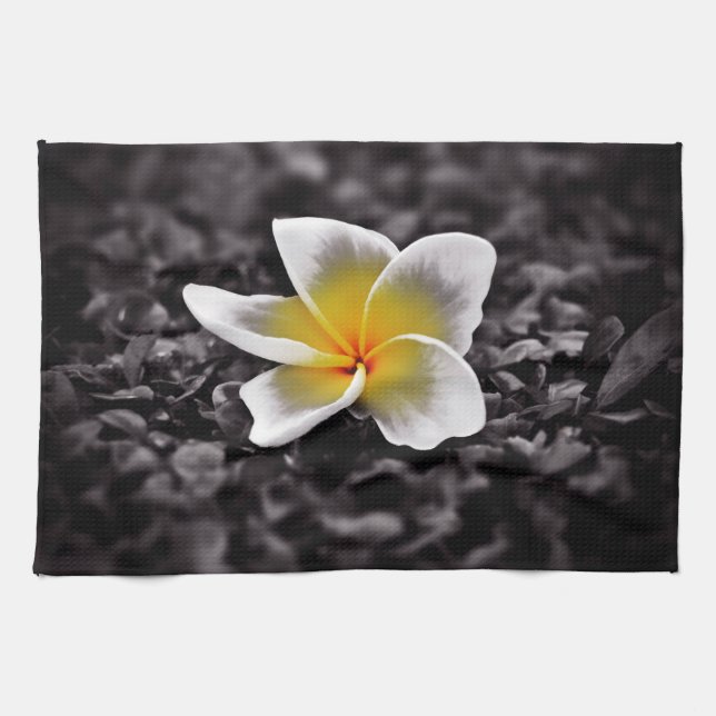 Linge De Cuisine Plumeria Frangipani Hawaii (Horizontal)
