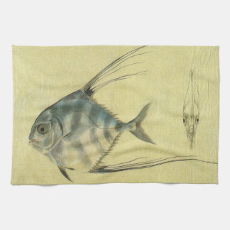 Linge De Cuisine Poisson Alectis indicus, Carangue à trois épines v
