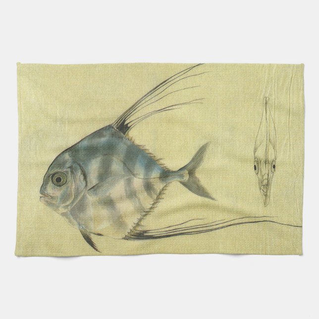 Linge De Cuisine Poisson Alectis indicus, Carangue à trois épines v (Horizontal)