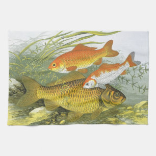 Linge De Cuisine Poisson Carpe Koï, Vie Marine Aquatique Ancienne d