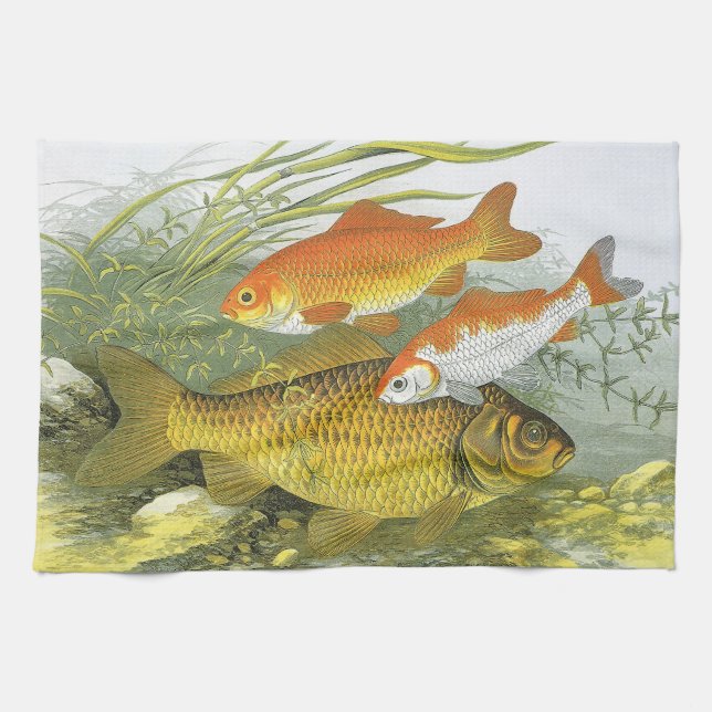 Linge De Cuisine Poisson Carpe Koï, Vie Marine Aquatique Ancienne d (Horizontal)
