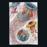 Linge De Cuisine Poisson vintage par Ernst Haeckel, Discomedusae<br><div class="desc">Illustration vintage conception biologique de la vie marine par Ernst Haeckel. Une variété d'animaux méduses colorés nageant dans les eaux de la mer. Les méduses sont des animaux aquatiques nageant librement avec un corps en forme de parapluie et de longues tentacules. On les trouve dans tous les océans et dans...</div>