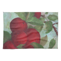 Pomme récoltée, rouge et verte