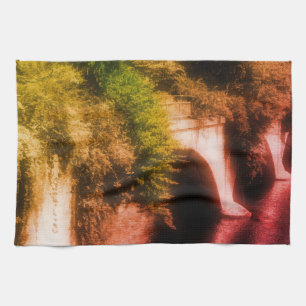 Linge De Cuisine Pont De Fleurs Couleur Partielle Vintage Distressé