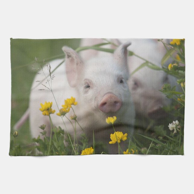 Linge De Cuisine Porcelet blanc mignon dans le domaine des fleurs (Horizontal)