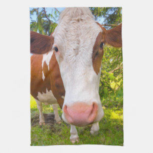 Linge De Cuisine Portrait animal de ferme de vache photo