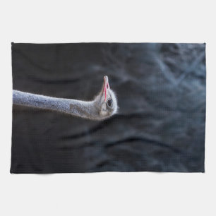 Linge De Cuisine portrait d'autruche