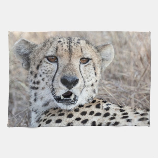 Linge De Cuisine Portrait de Cheetah (Horizontal)