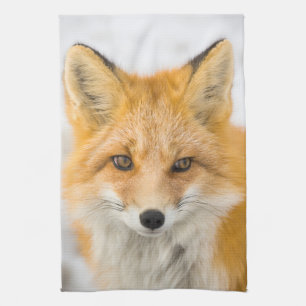 Linge De Cuisine Portrait de renard roux