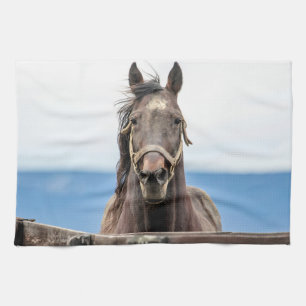 Linge De Cuisine Portrait d'un cheval