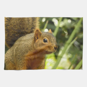 Linge De Cuisine Portrait d'un écureuil Nature Animal Photographie