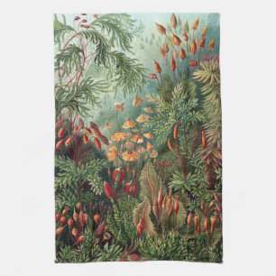 Linge De Cuisine Poster vintage Ernst Haeckel Moss Coque-Mate iPhon