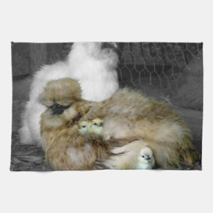 Linge De Cuisine Poules de Silkie avec des poussins jetant un coup