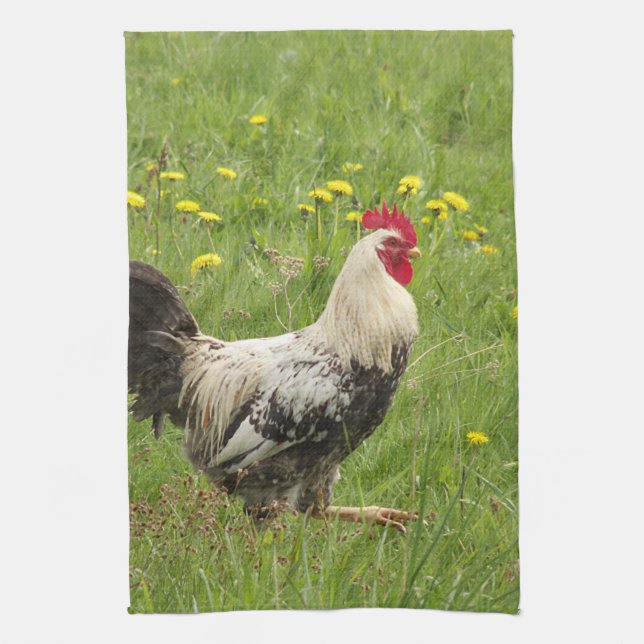 Linge De Cuisine poulet, coq, animal, oiseau, ferme, agriculture, (Vertical)