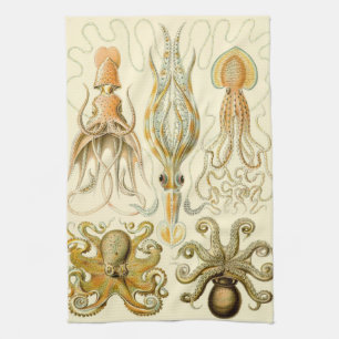 Linge De Cuisine Poulpe Vintage Gamochonia par Ernst Haeckel