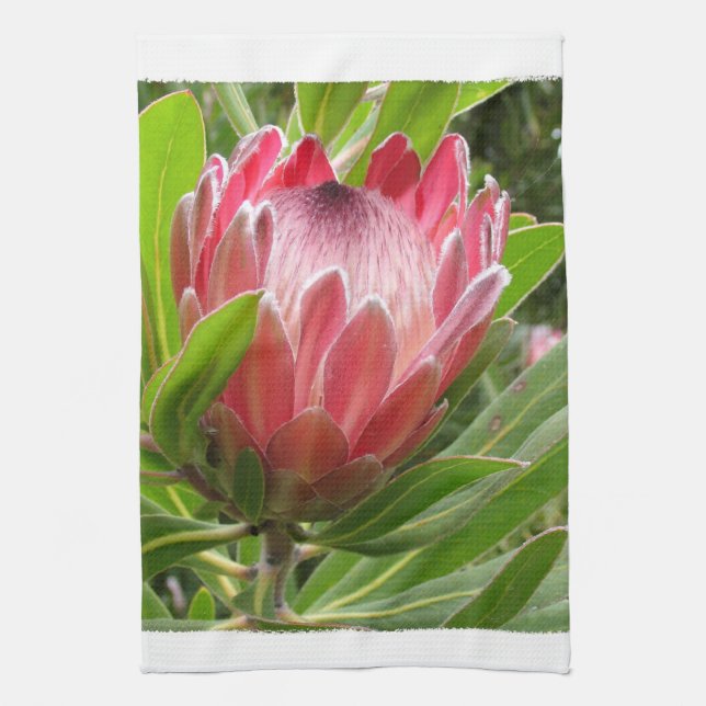 Linge De Cuisine Produit de personnaliser (Vertical)