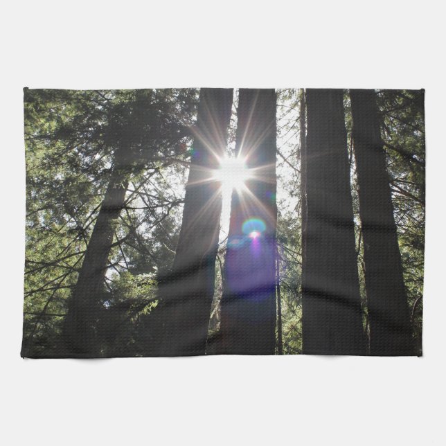 Linge De Cuisine Produits nouveaux (Horizontal)