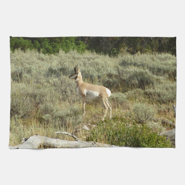 Linge De Cuisine Pronghorn at Grand Teton National Park (Horizontal)
