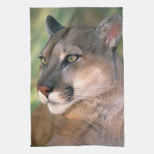 Linge De Cuisine Puma, Californie