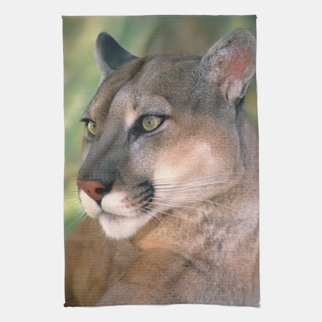 Linge De Cuisine Puma, Californie (Vertical)