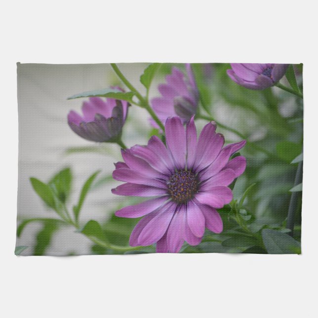 Linge De Cuisine Purple Daisy (Horizontal)