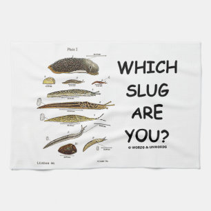 Linge De Cuisine Quel lingot êtes-vous ? (Différents types de