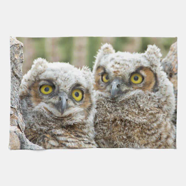 Linge De Cuisine Qui est là, Pair of Owl's (Horizontal)